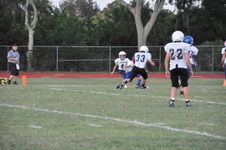 Enlarge photo 294