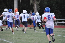 Enlarge photo 305