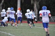 Enlarge photo 306