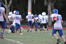 Enlarge photo 307