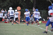 Enlarge photo 309