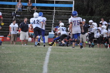 Enlarge photo 311