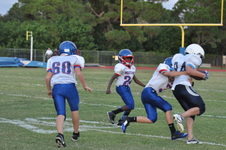 Enlarge photo 331