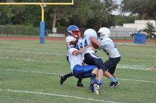 Enlarge photo 333