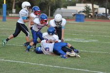 Enlarge photo 336