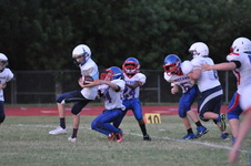 Enlarge photo 346