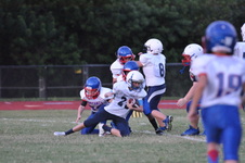 Enlarge photo 348
