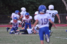 Enlarge photo 349