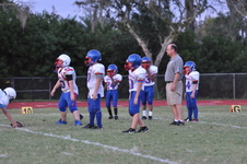 Enlarge photo 355