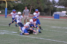 Enlarge photo 358