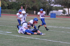 Enlarge photo 359