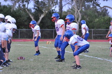 Enlarge photo 362
