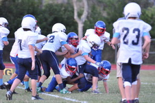 Enlarge photo 371