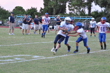 Enlarge photo 378