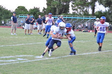 Enlarge photo 379
