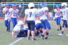 Enlarge photo 391