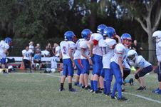 Enlarge photo 394