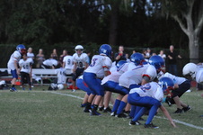 Enlarge photo 395