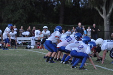 Enlarge photo 397