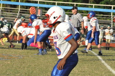 Enlarge photo 41