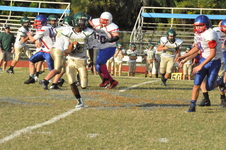 Enlarge photo 42