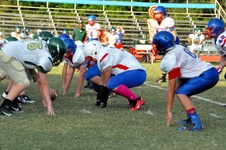 Enlarge photo 46