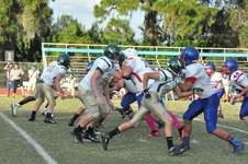 Enlarge photo 48