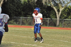 Enlarge photo 57