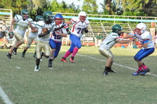 Enlarge photo 59