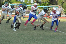 Enlarge photo 60