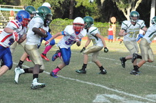 Enlarge photo 62
