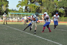 Enlarge photo 66
