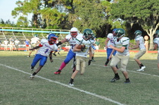 Enlarge photo 67