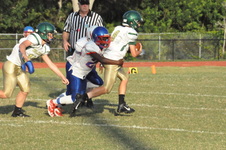 Enlarge photo 73