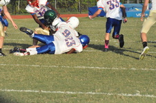 Enlarge photo 76