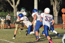 Enlarge photo 84