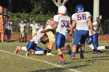 Enlarge photo 86