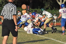 Enlarge photo 91