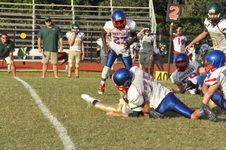 Enlarge photo 97