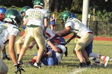 Enlarge photo 109