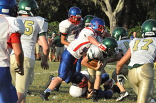 Enlarge photo 111
