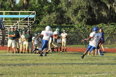 Enlarge photo 113