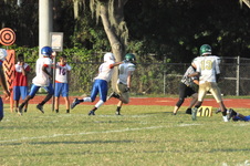 Enlarge photo 115