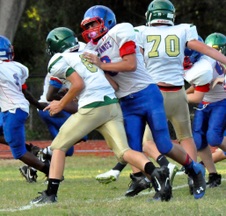 Enlarge photo 127