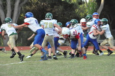 Enlarge photo 128