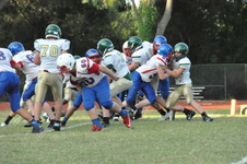 Enlarge photo 129