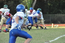 Enlarge photo 130