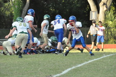 Enlarge photo 131