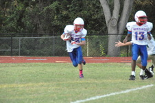 Enlarge photo 135