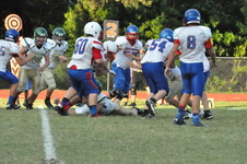 Enlarge photo 144